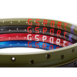 G-SPORT Birdcage rim